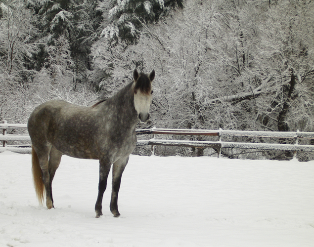 Pleased to meet you!